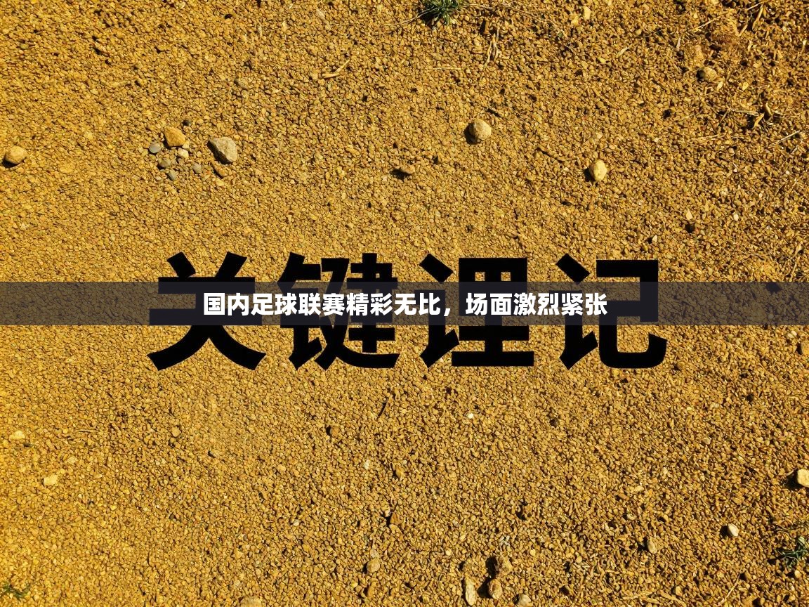 国内足球联赛精彩无比，场面激烈紧张  第1张